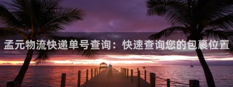 28圈注册网址：孟元物流快递单号查询