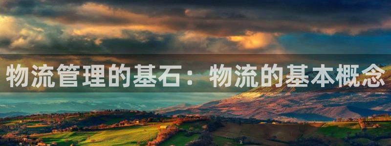 28圈网站平台是多少