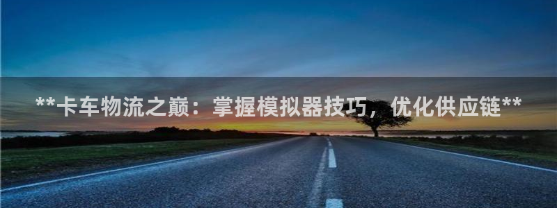 自行车28圈是什么意思：**卡车物流