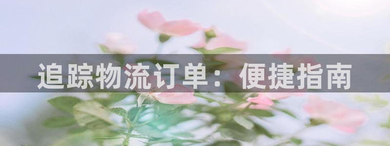 28圈下载链接是多少：追踪物流订单：