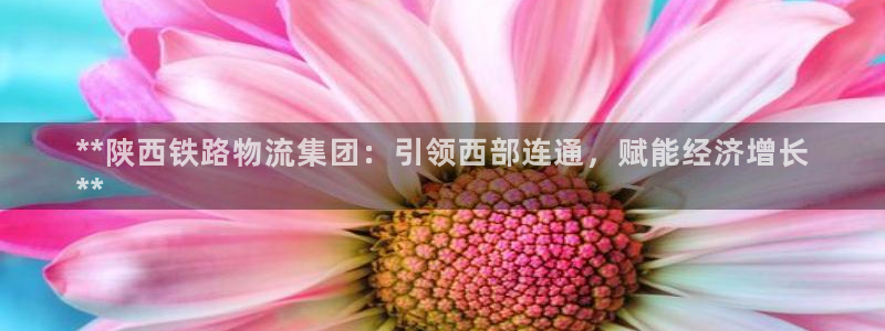 28圈提款一直没到