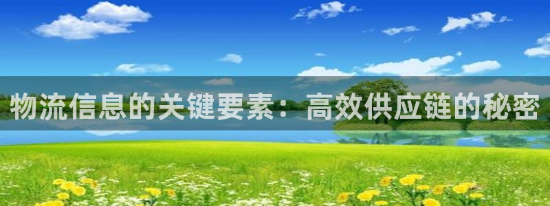 28圈软件是什么：物流信息的关键要素