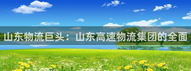 28圈注册号：山东物流巨头：山东高速