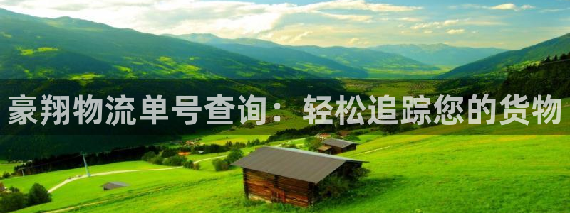 28圈注册问一问：豪翔物流单号查询：