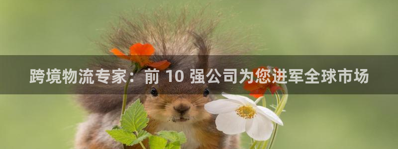 28圈客服一直不回消息怎么办