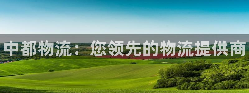 28圈游戏官网版