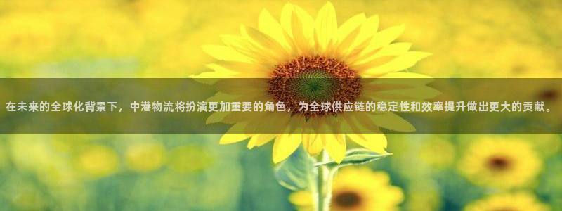 28圈下载二维码