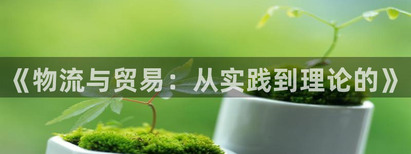 28圈龙虎