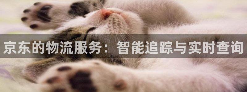 28圈.ccmpc29官网版下载