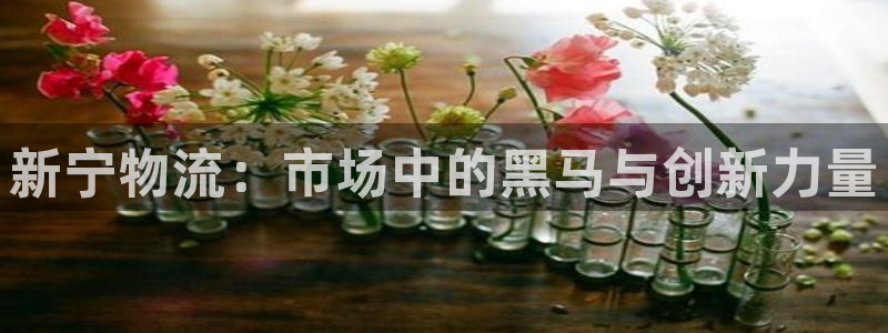 28圈二维码