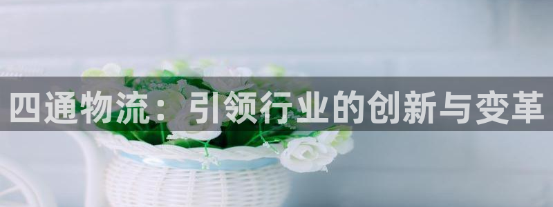 28圈软件堵什么反什么