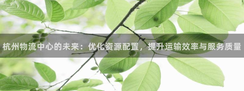 28圈比特28预测在线预测