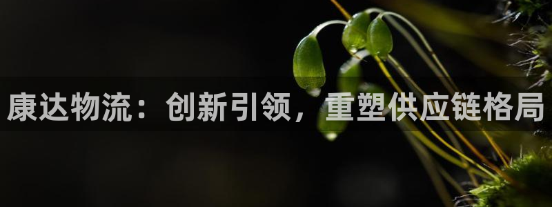 28圈为什么没有赢过一次