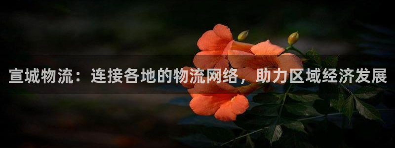 28圈加拿大能提现吗