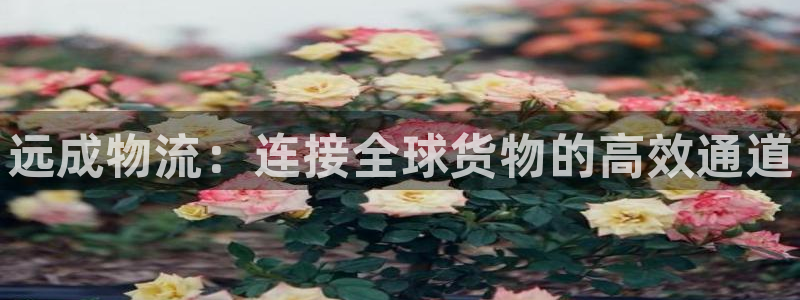 28圈为什么没有赢过一次