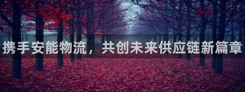 28圈.ccmapp:携手安能物流,