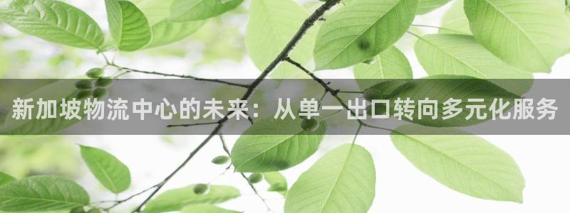 28圈加拿大是什么:新加坡物流中心的