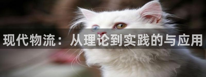 28圈充值不到账