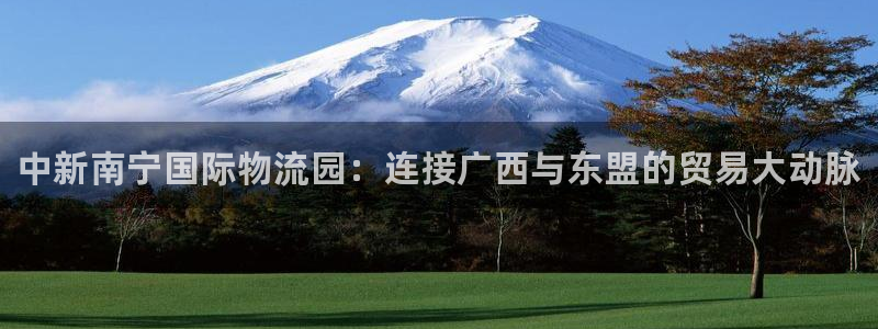 28圈麻将胡了在线试玩:中新南宁国际