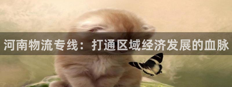 28圈防失联网址