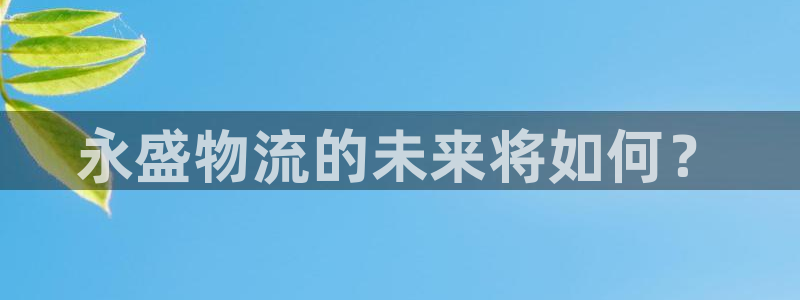 28圈是南宫旗下的吗:永盛物流的未来