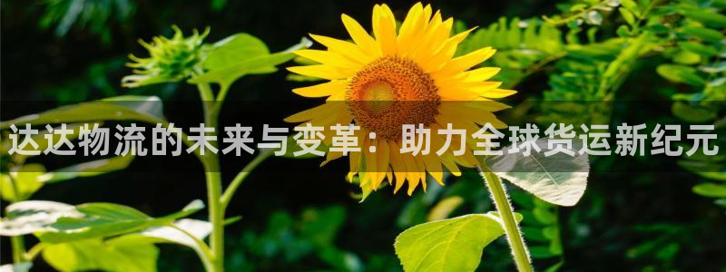 28圈起来的符号